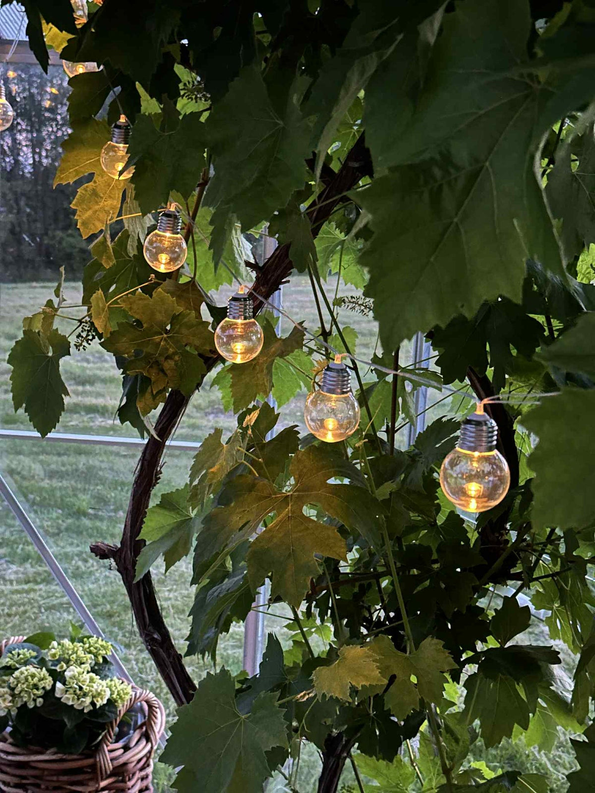 Lichtslinger Laura met zonnepanelen - Buiten met 10 en 20 lampen