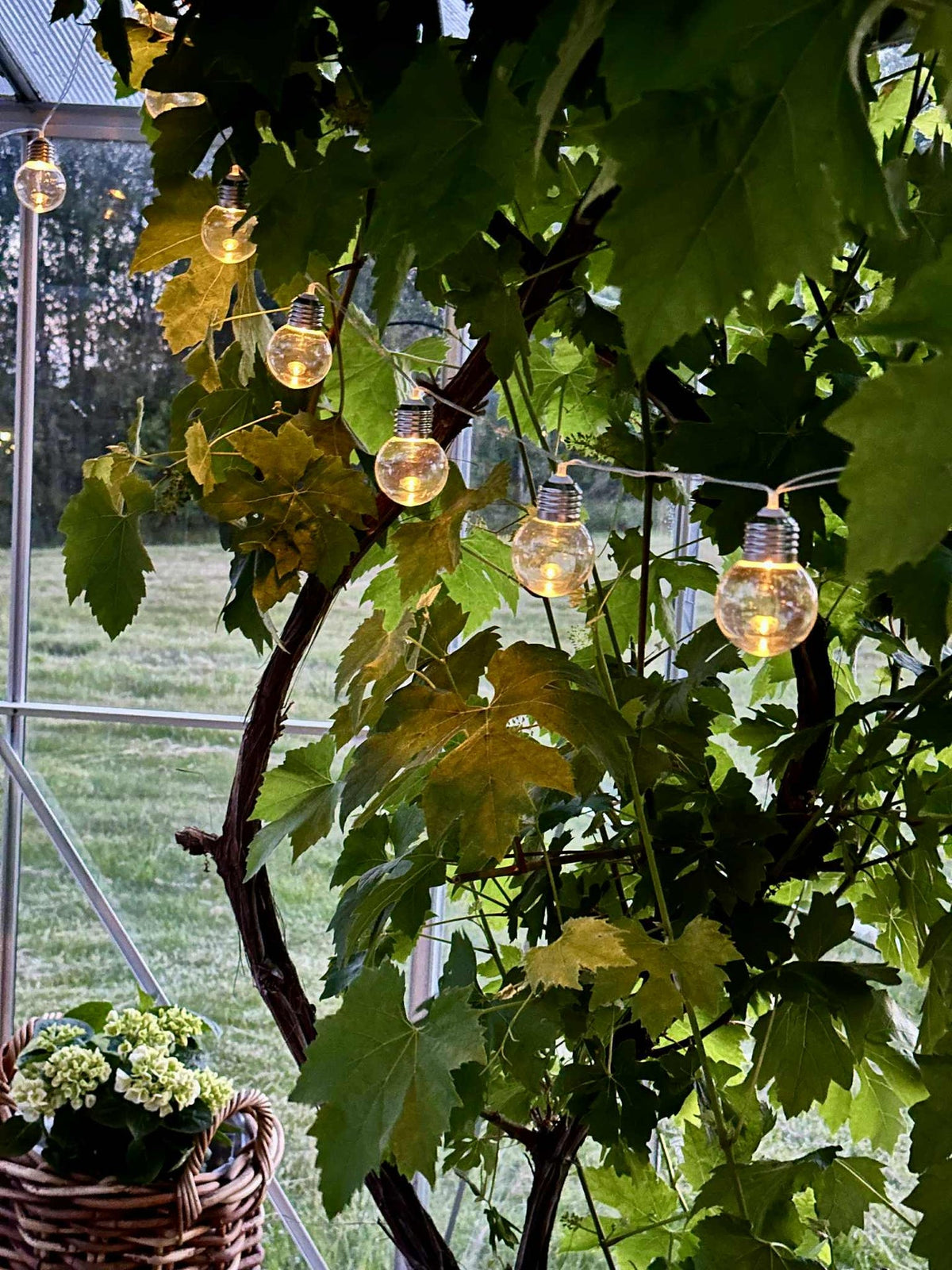 Lichtslinger Laura met zonnepanelen - Buiten met 10 en 20 lampen