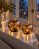 Appel goud - meerdere maten