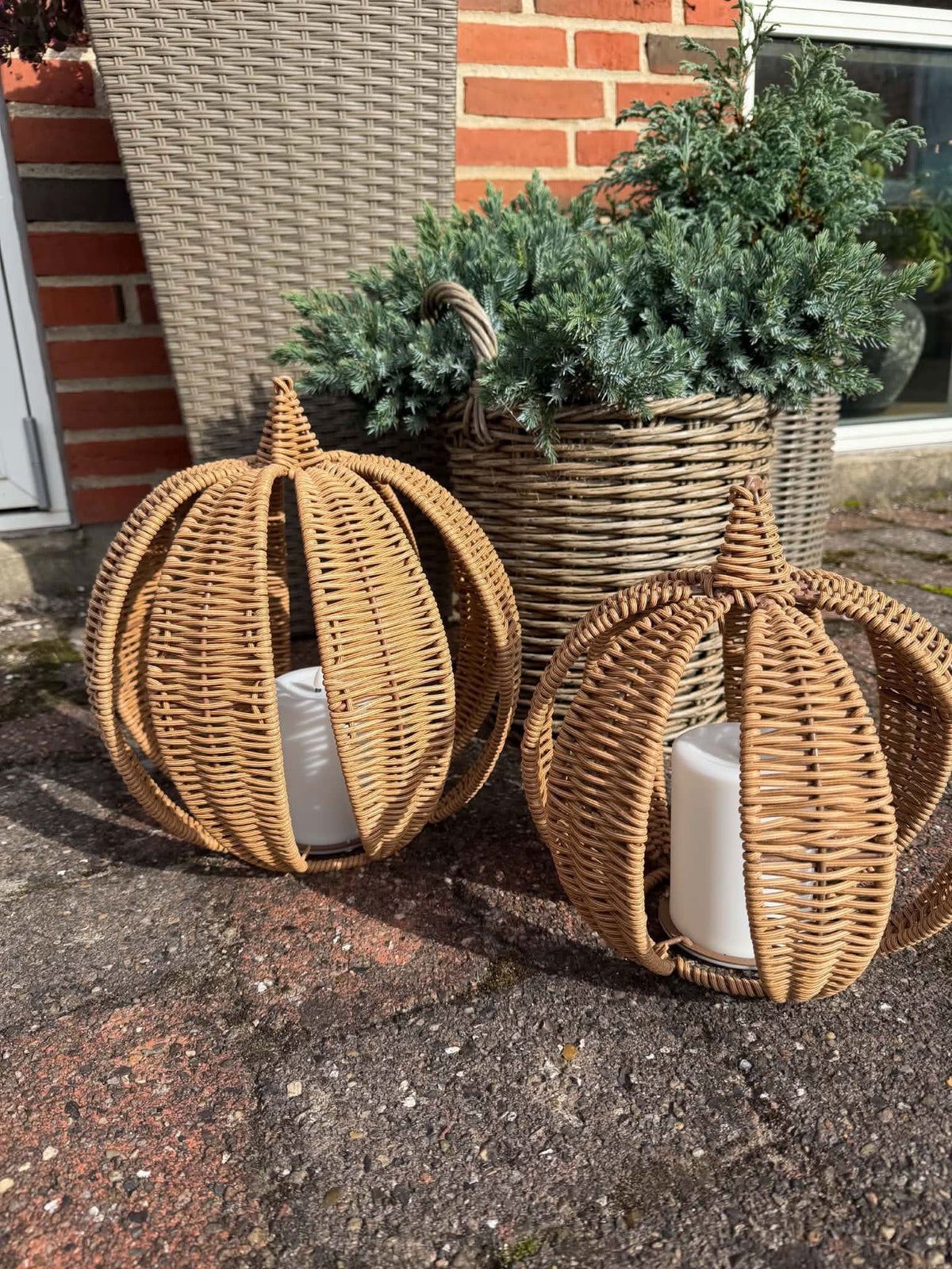 Pompoen- Polyrattan