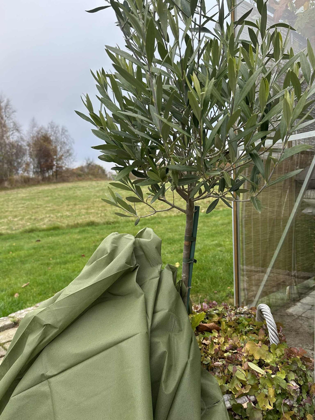 Plantenbescherming - 10 meter