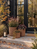 Plantenmanden - Set van 3 stuks