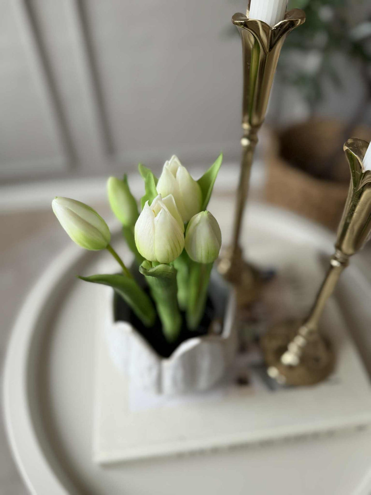 Tulp in pot - Wit