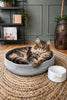 Kattenmand - Grijs