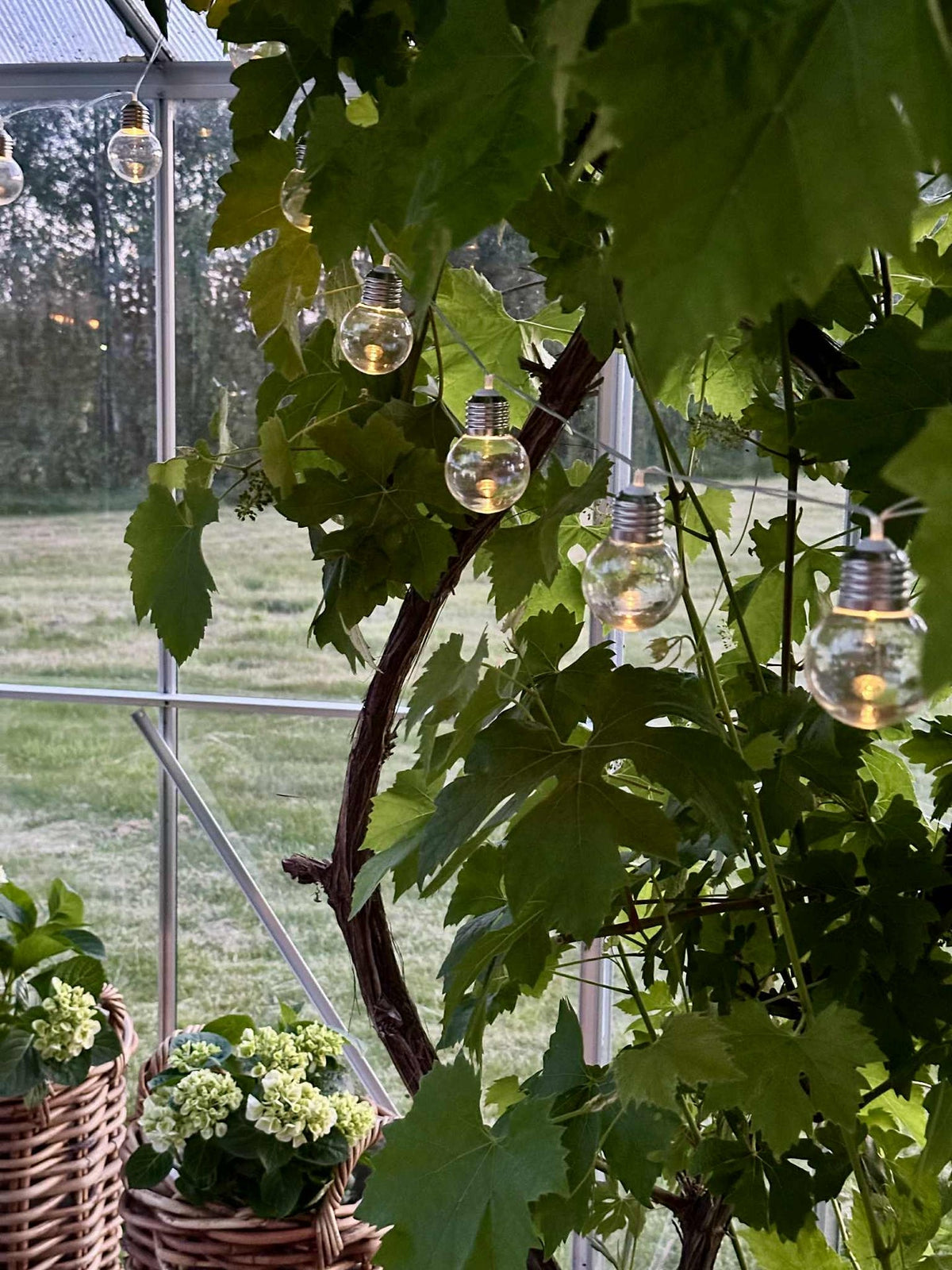 Lichtslinger Laura met zonnepanelen - Buiten met 10 en 20 lampen
