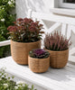 Mandenset Rattan - Naturel 3 st.
