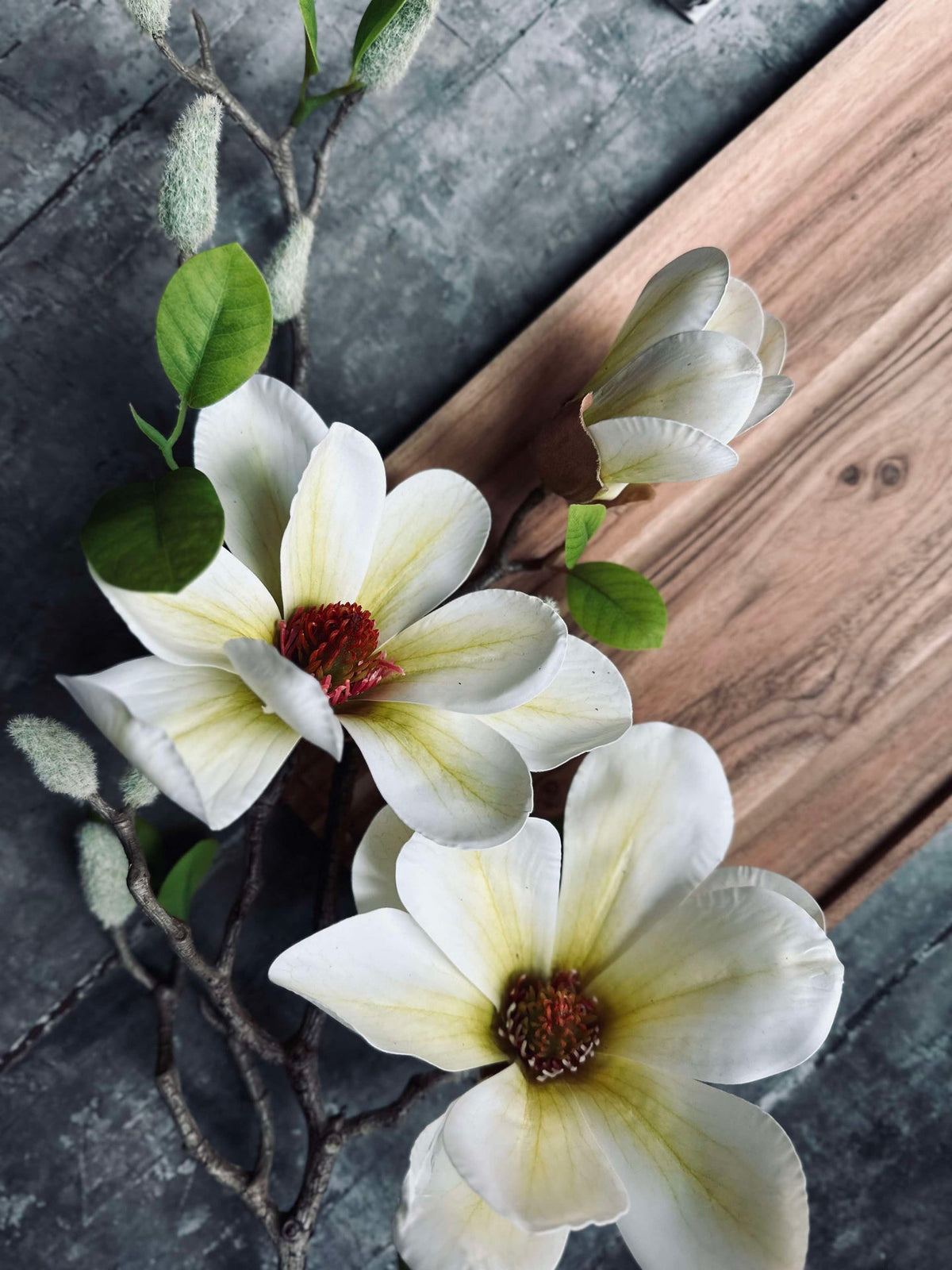 Bloesem Magnolia - Wit