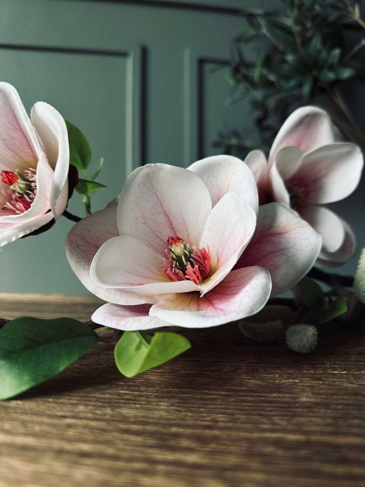 Bloem Magnolia - Roze