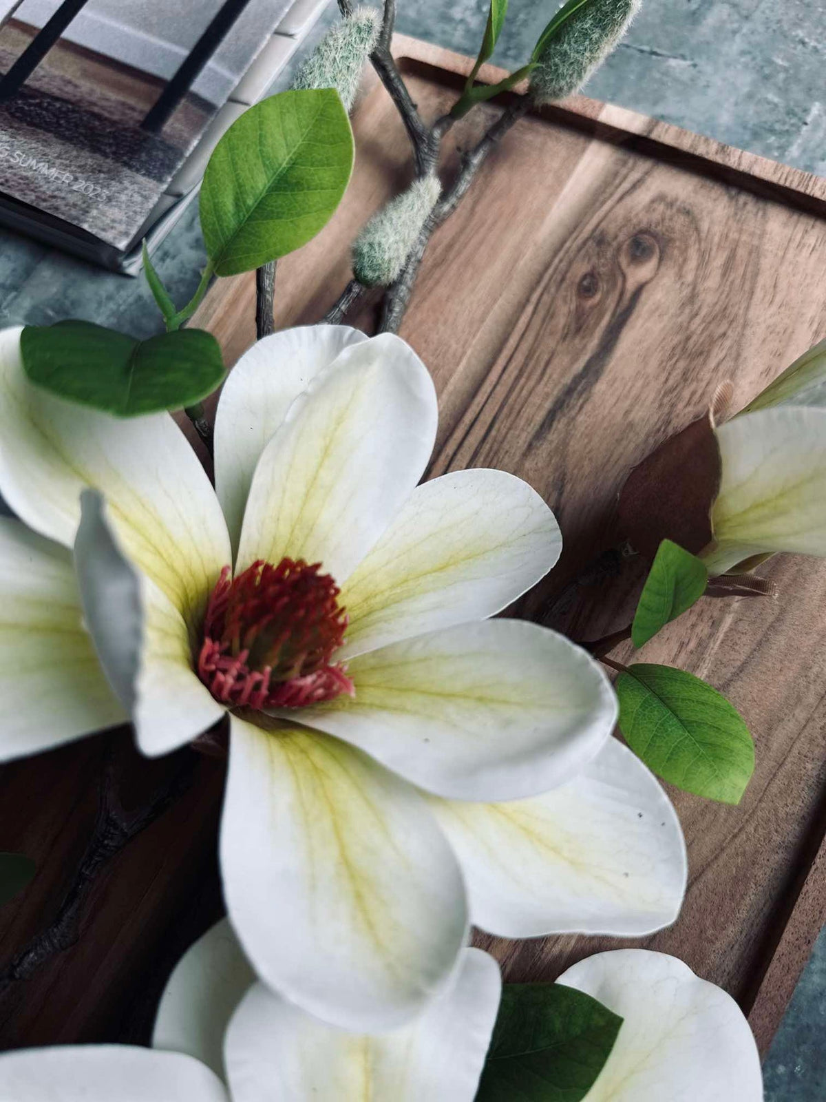 Bloesem Magnolia - Wit