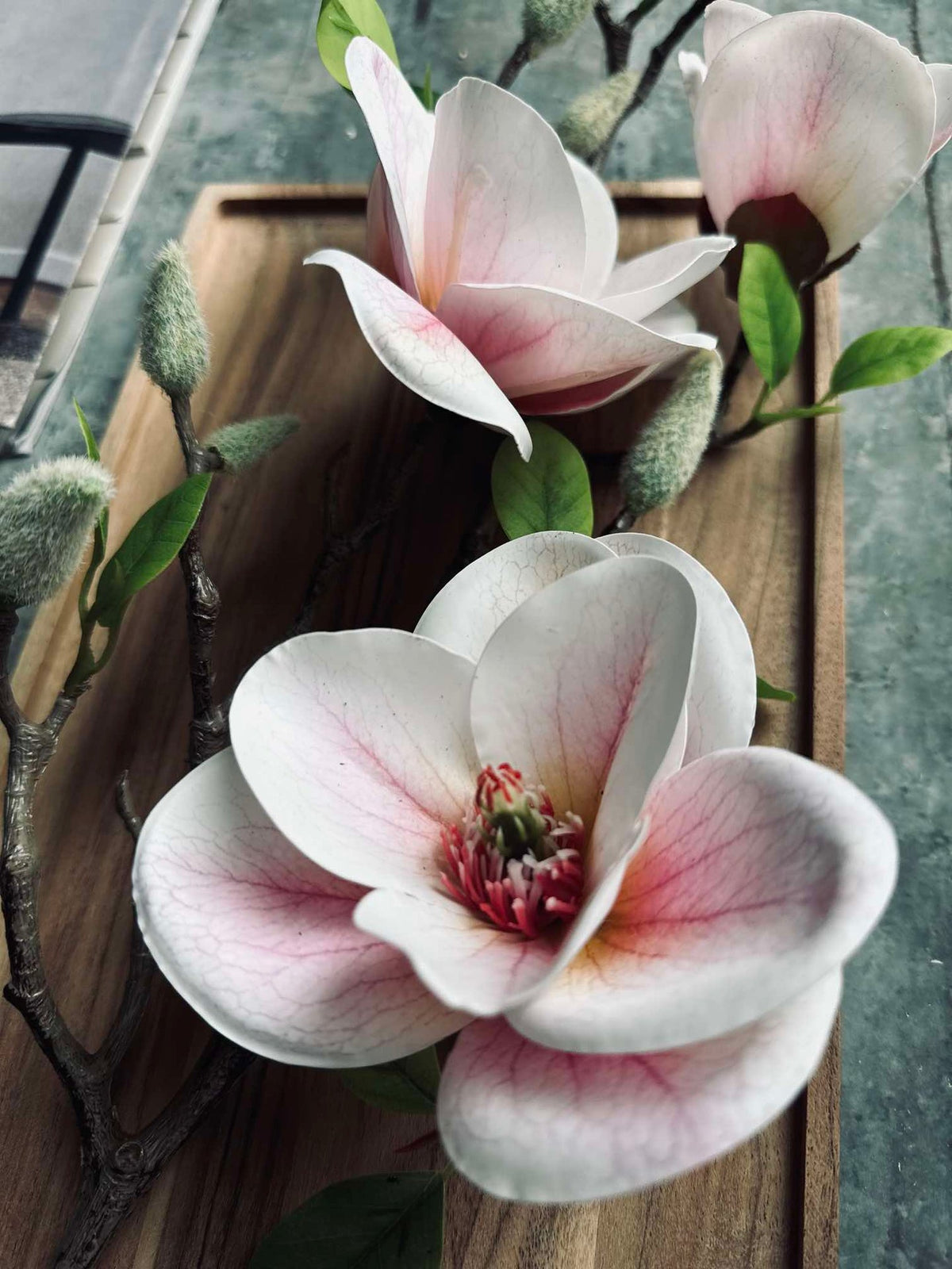 Bloem Magnolia - Roze