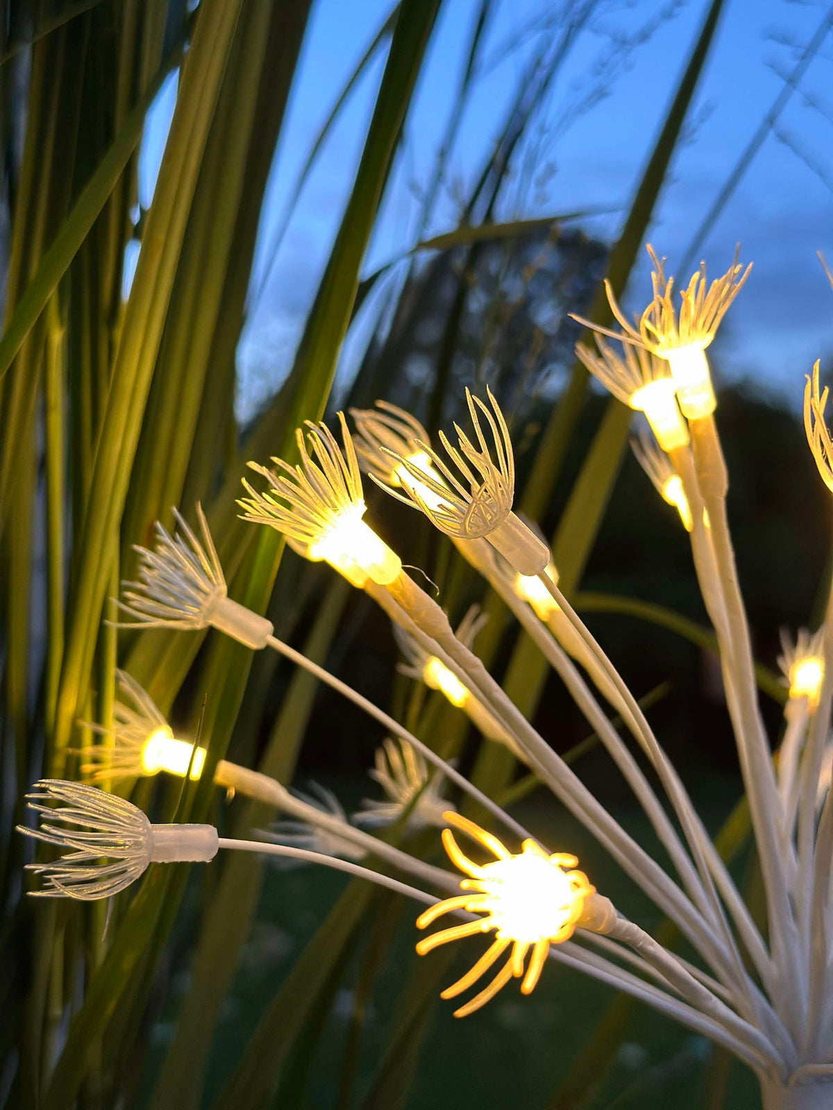 LED sterren op prikker