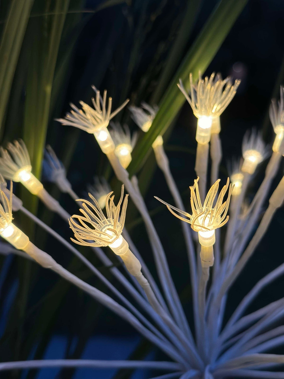 LED sterren op prikker
