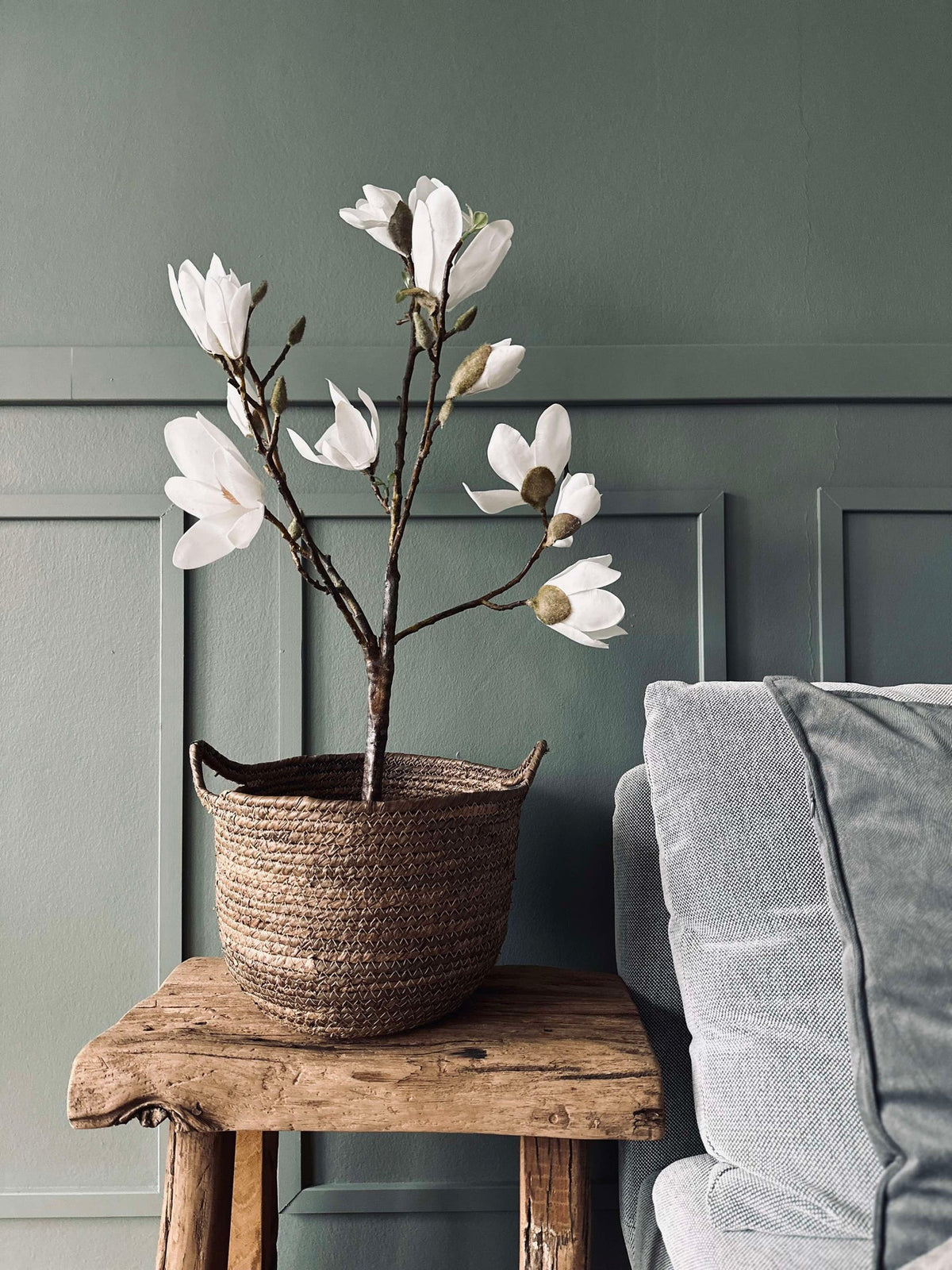 Magnoliaboom in pot - 70 cm Wit