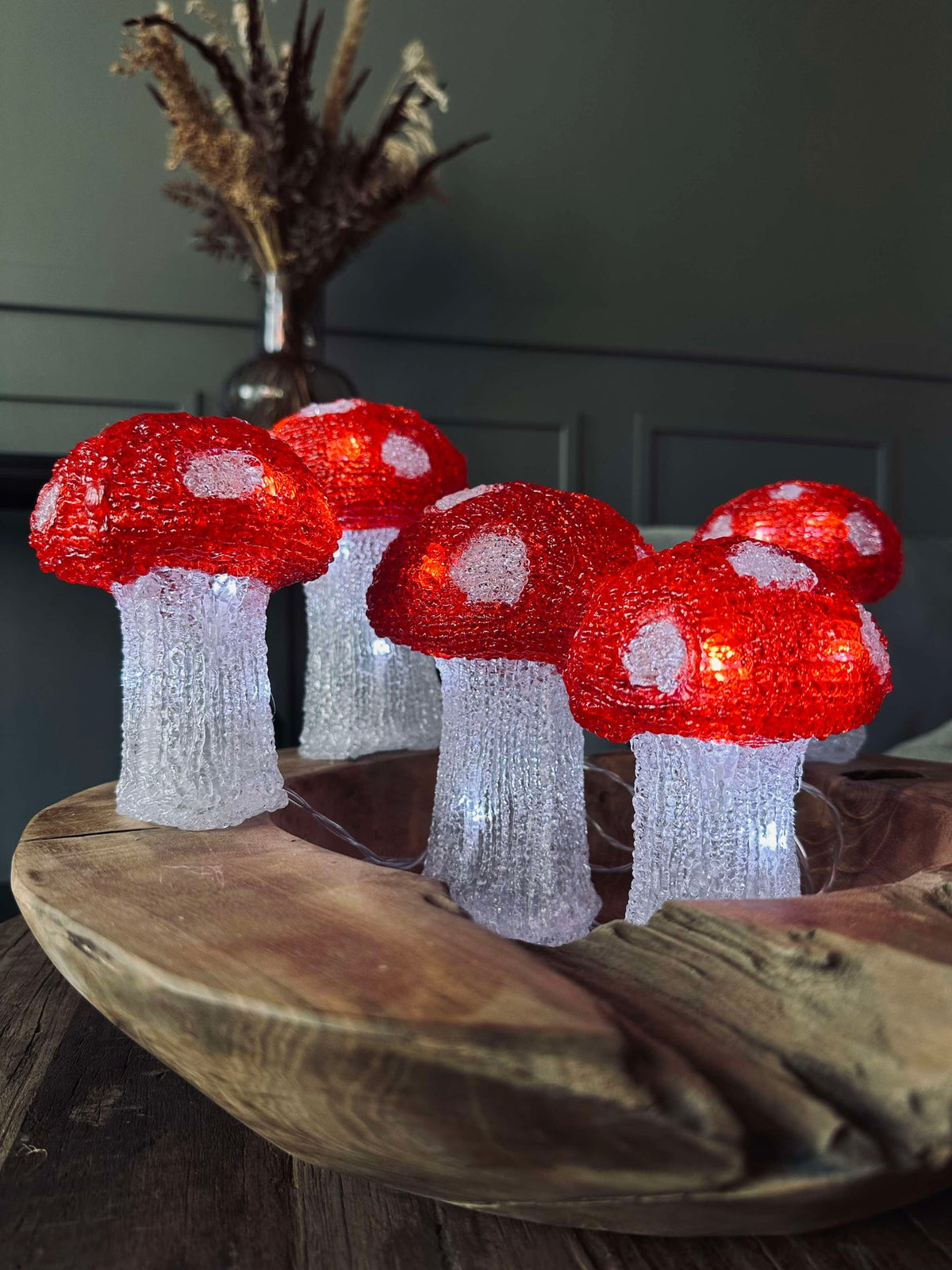 Mushroom Set met 5 lampen - Goedgekeurd voor binnen en buiten