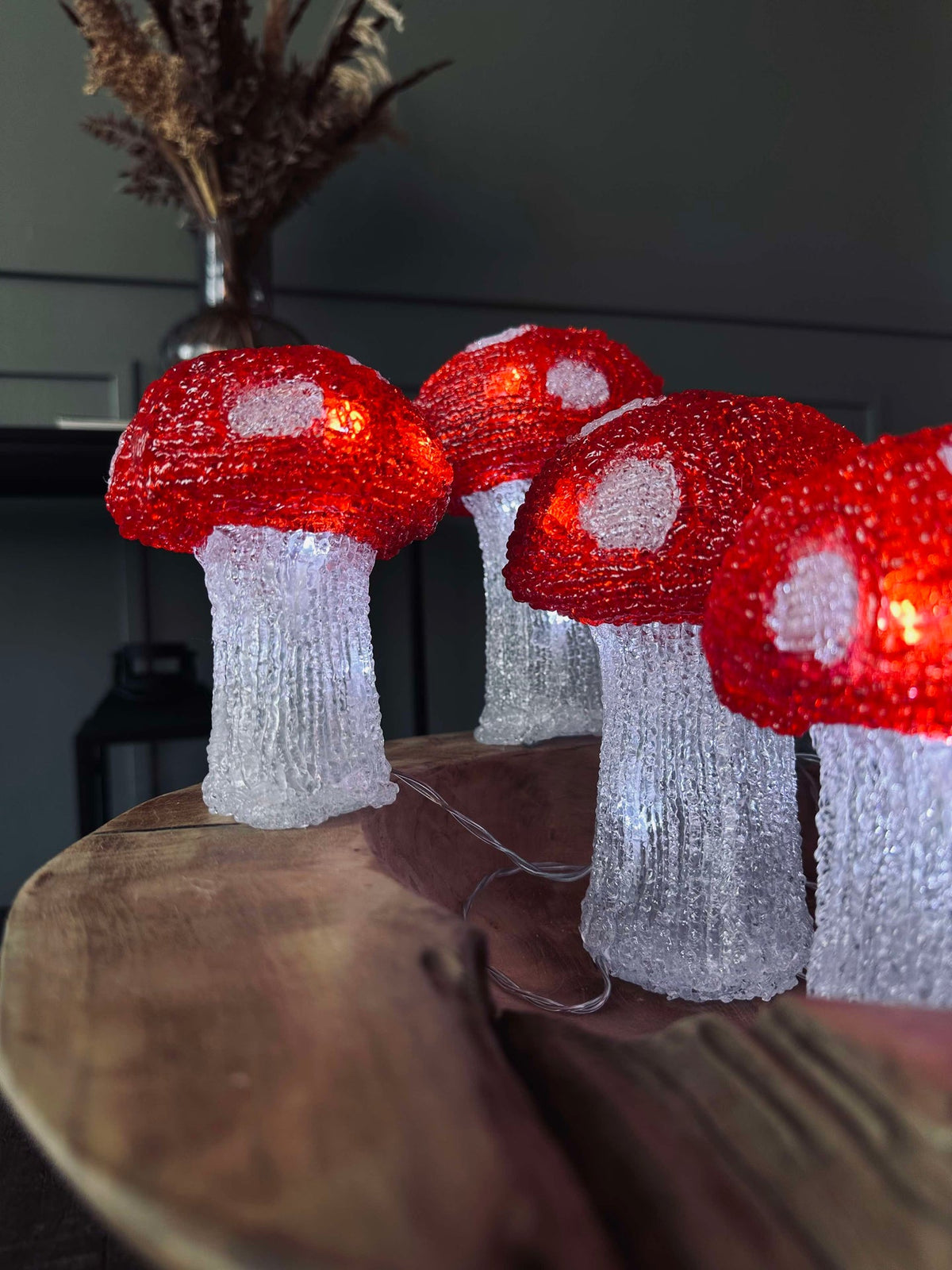 Mushroom Set met 5 lampen - Goedgekeurd voor binnen en buiten