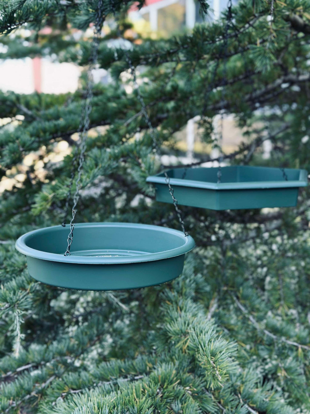 Set met vogelbad en voederplateau