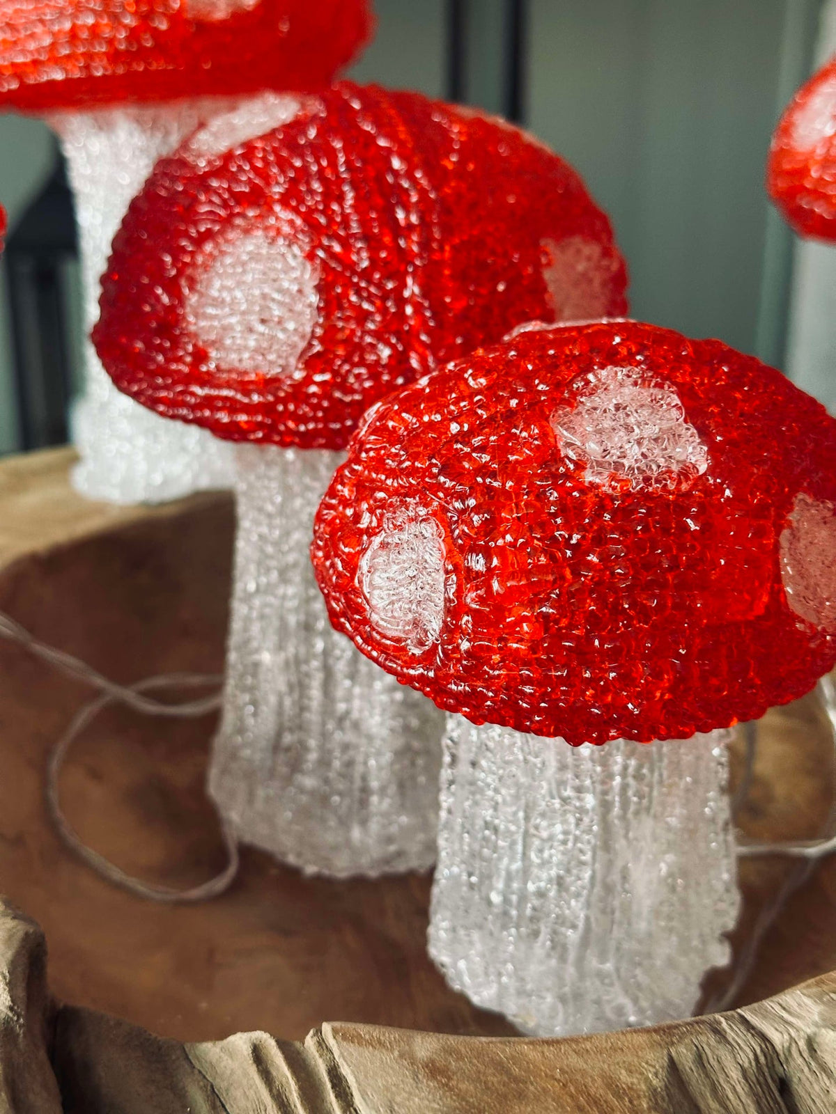 Mushroom Set met 5 lampen - Goedgekeurd voor binnen en buiten