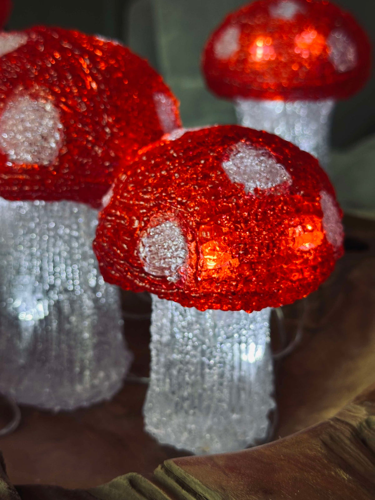 Mushroom Set met 5 lampen - Goedgekeurd voor binnen en buiten