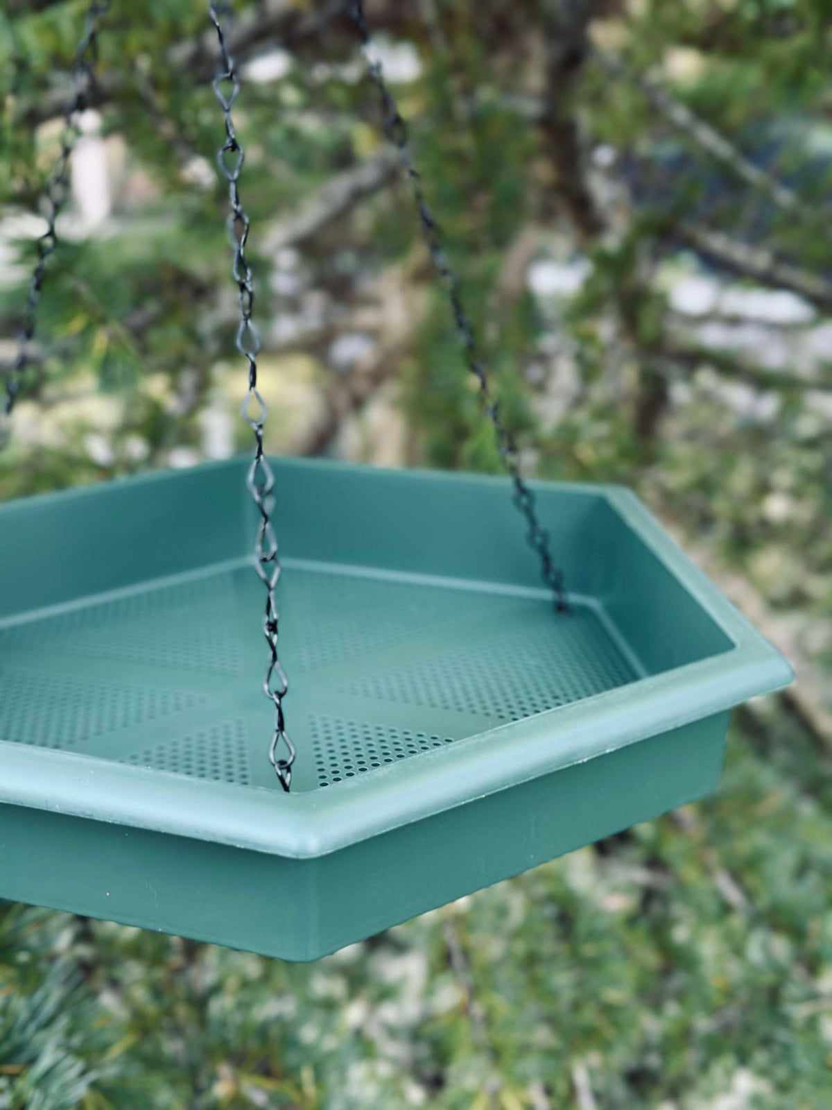 Set met vogelbad en voederplateau