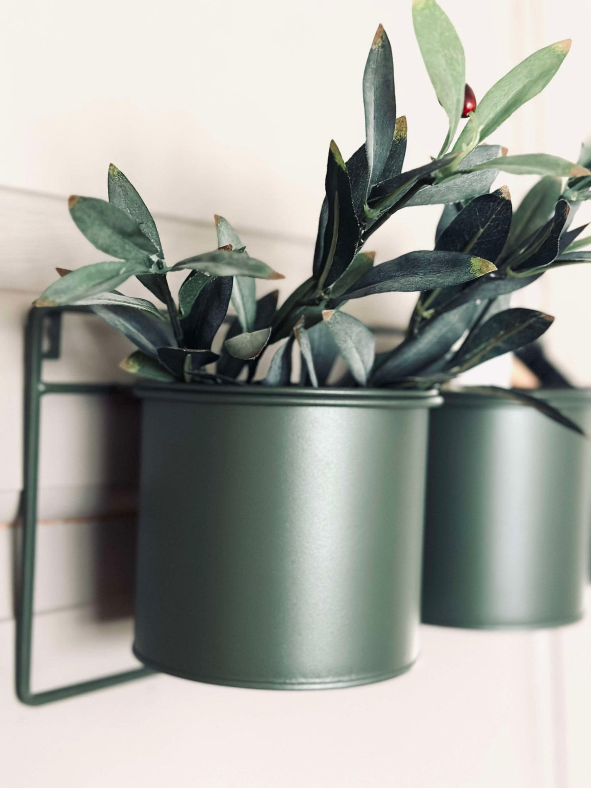Wandrek met 3 bloempotten - groen