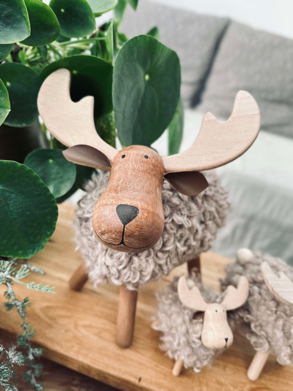 Elk Beige - X-Large