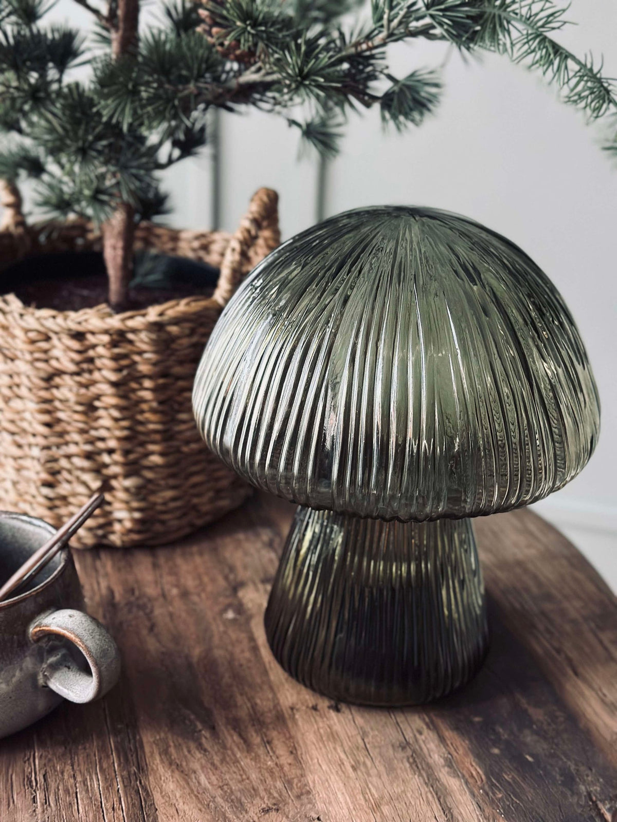 Champignon met ribbels 25 cm - Groen