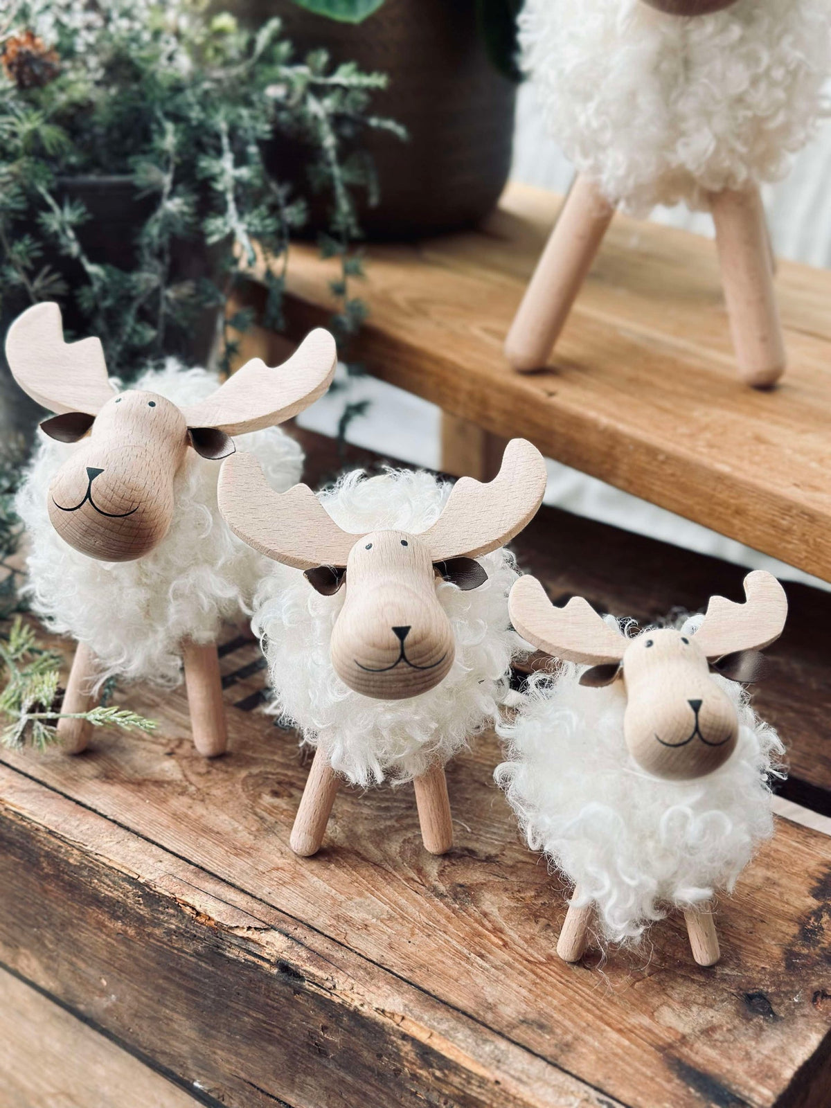 Eland white - Medium