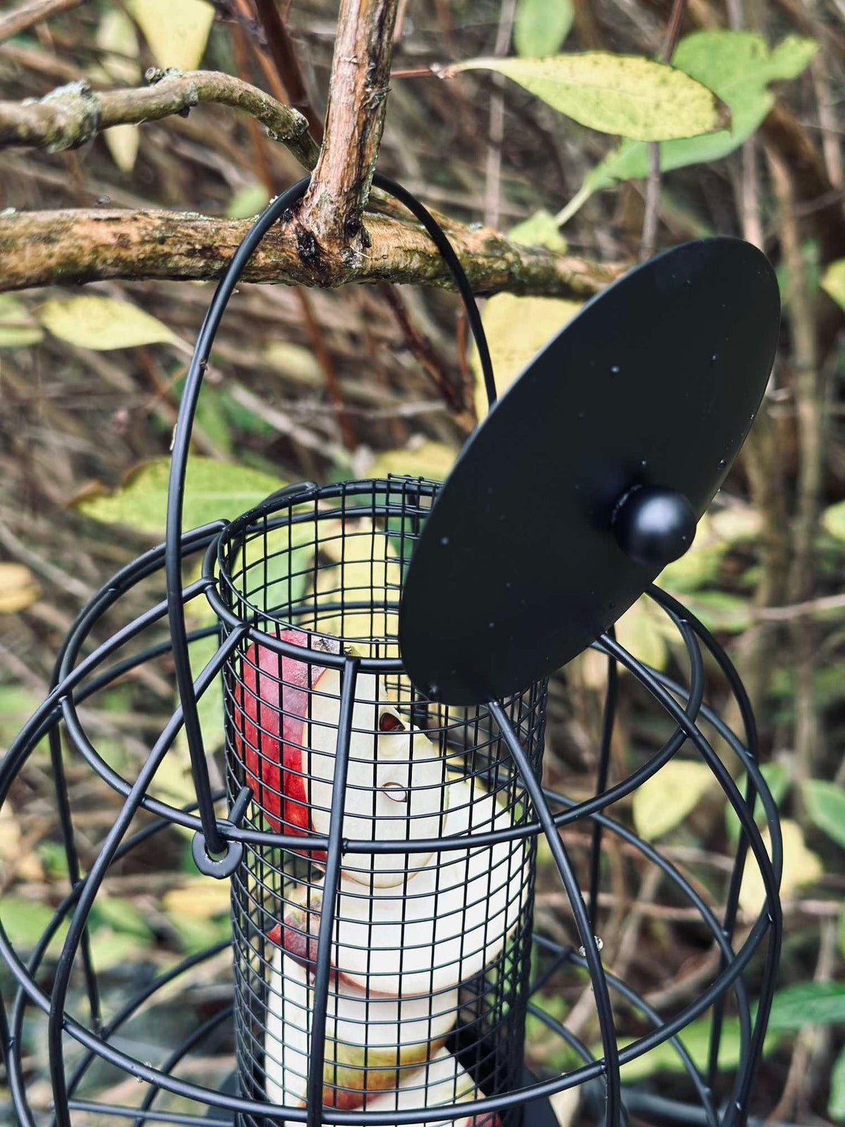 Vogelhuis zwart metaal