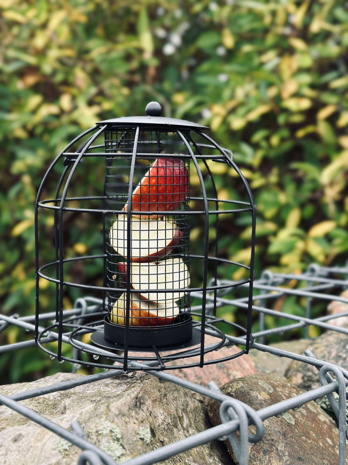 Vogelhuis zwart metaal