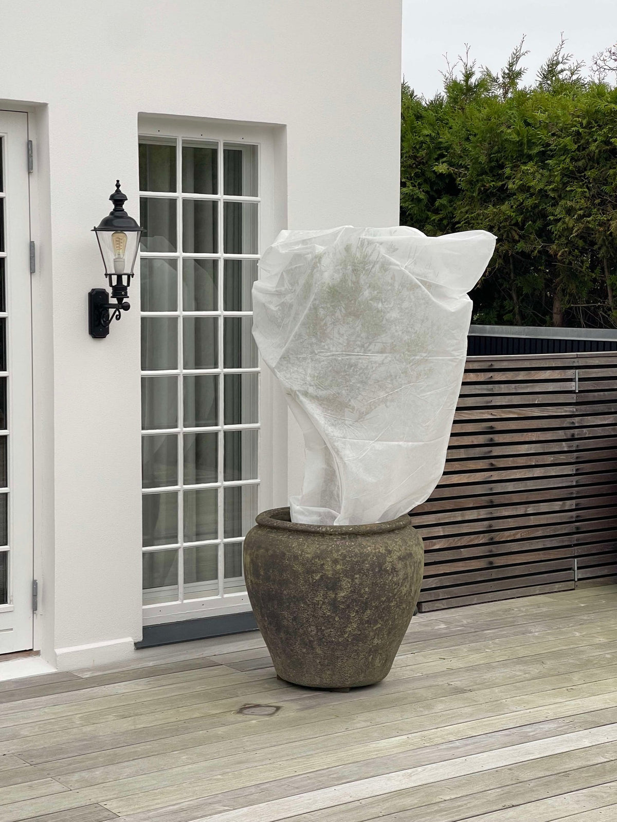 Plantenjas wit - Set van 2 stuks