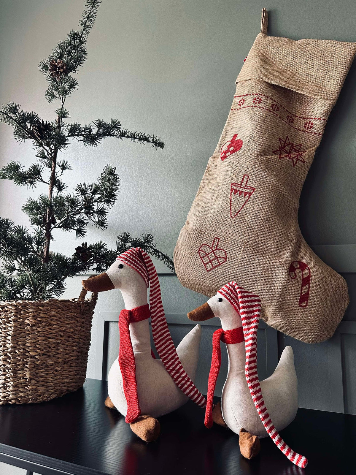 Kerst eend met muts - Medium