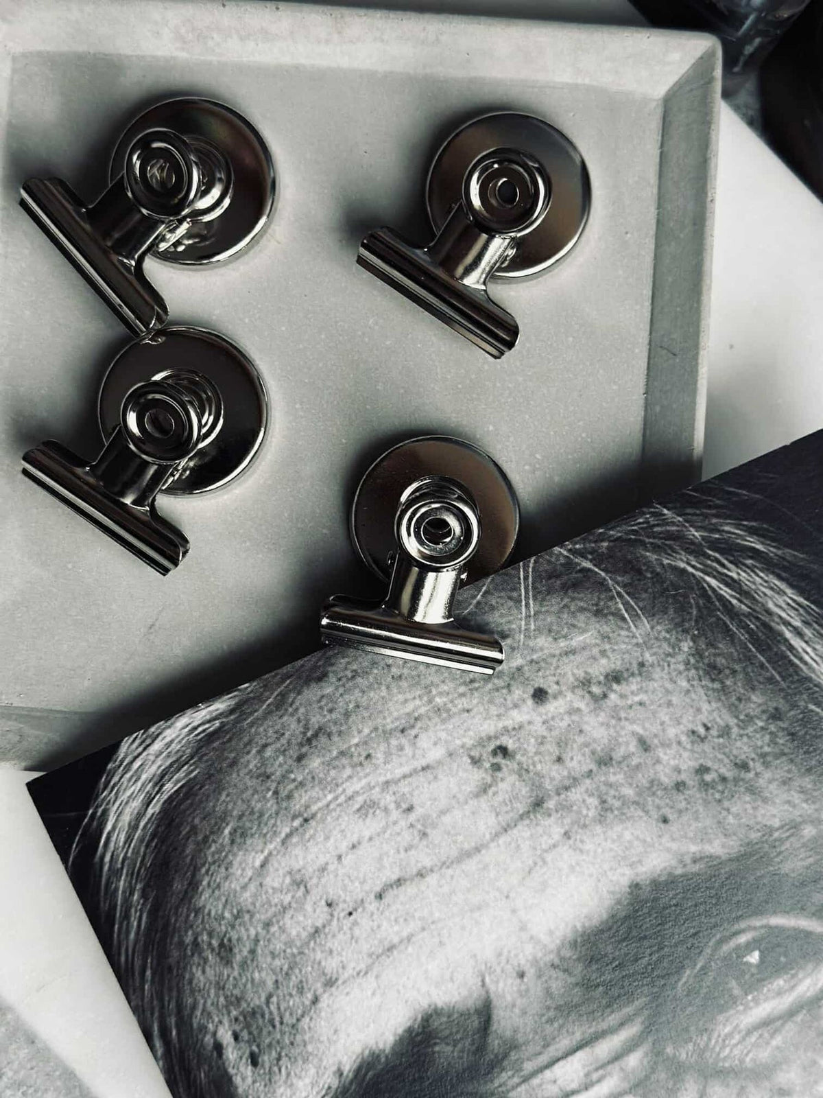 Magneten met clips - 4 stuks