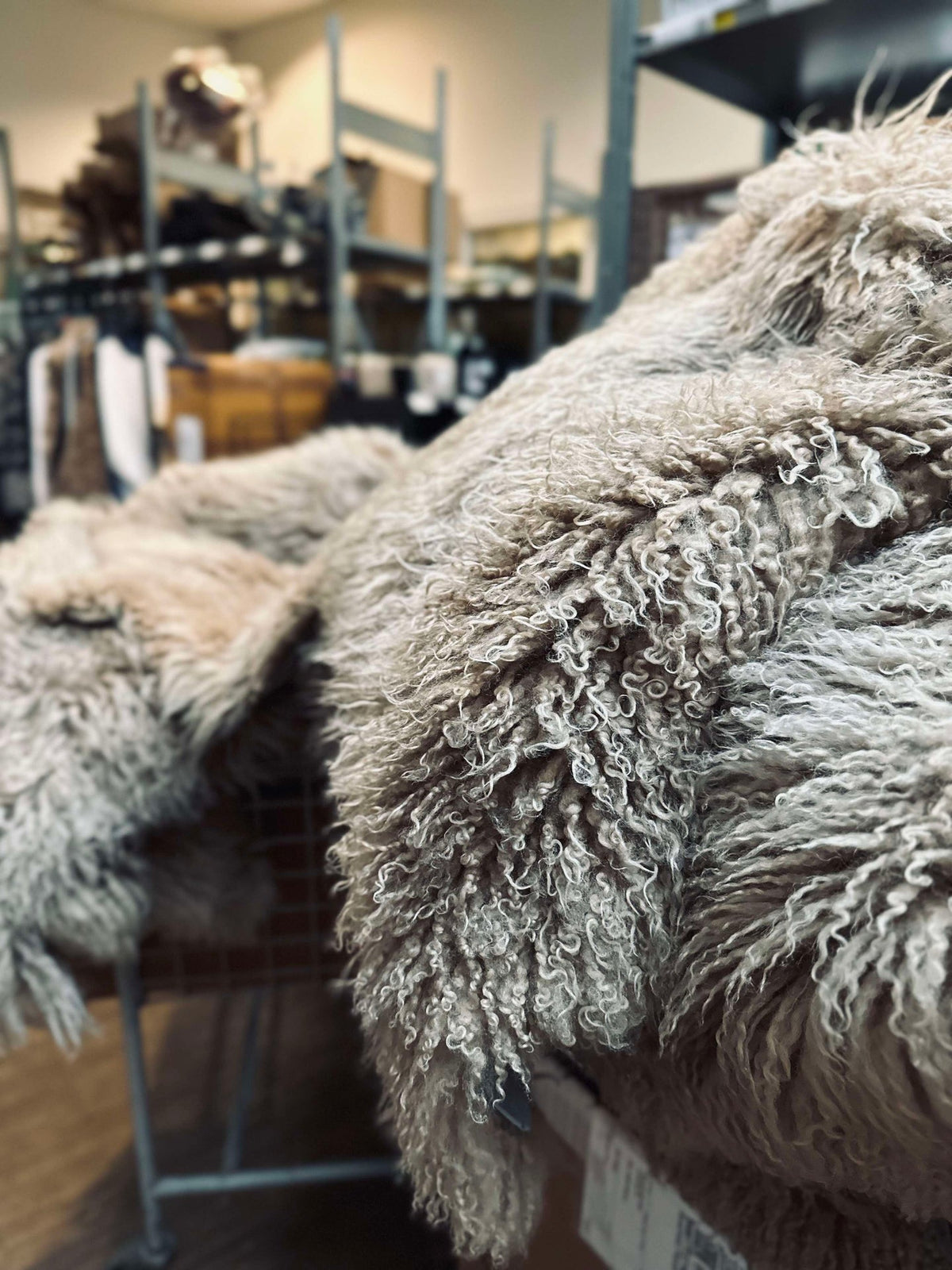 IJslands schapenvacht – Moccachino