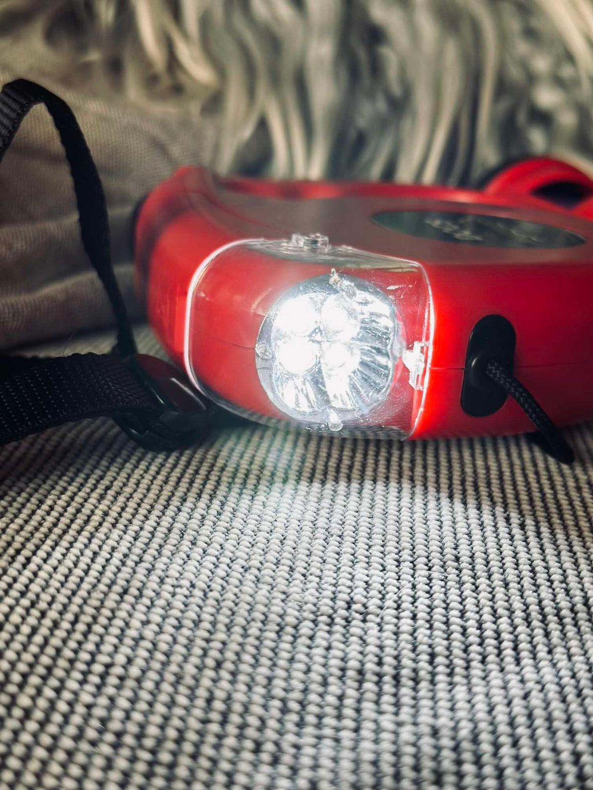 Hondenriem Flexlijn met zaklamp - 5 meter