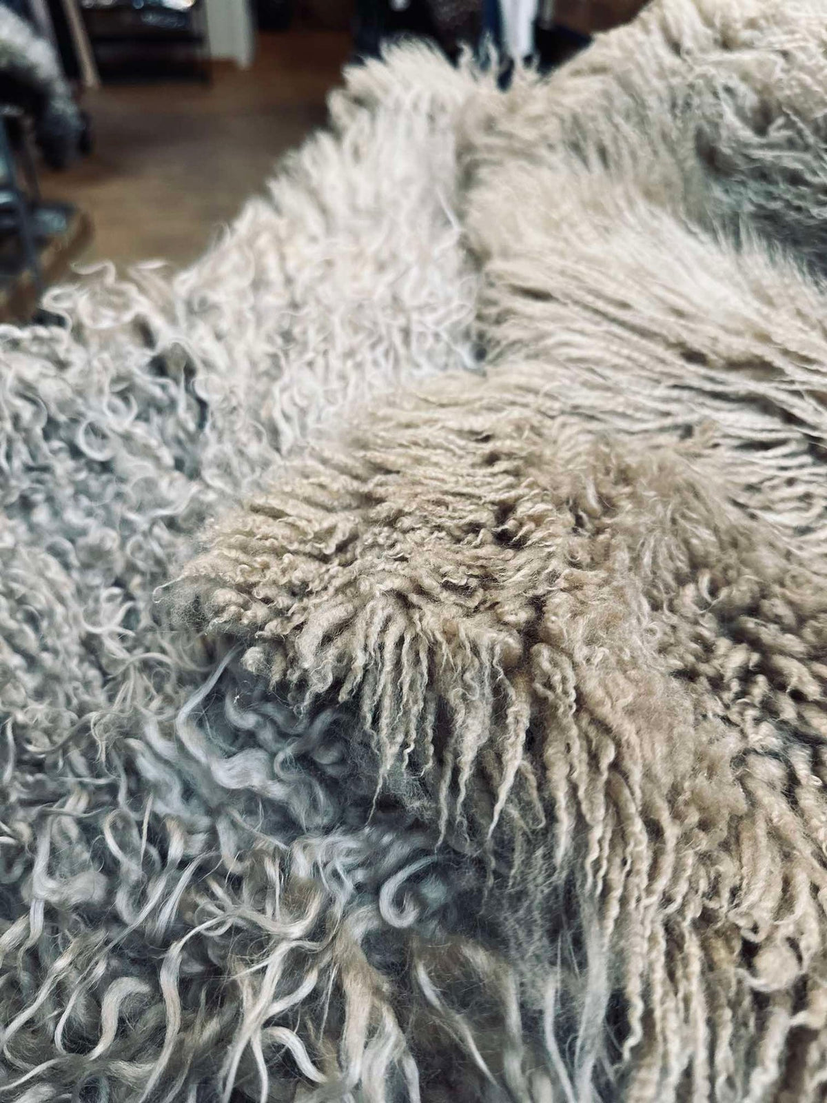 IJslands schapenvacht – Moccachino