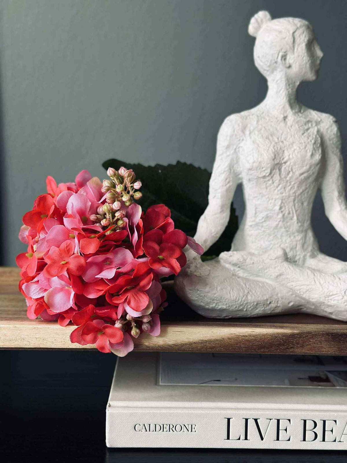 Hortensia Pink