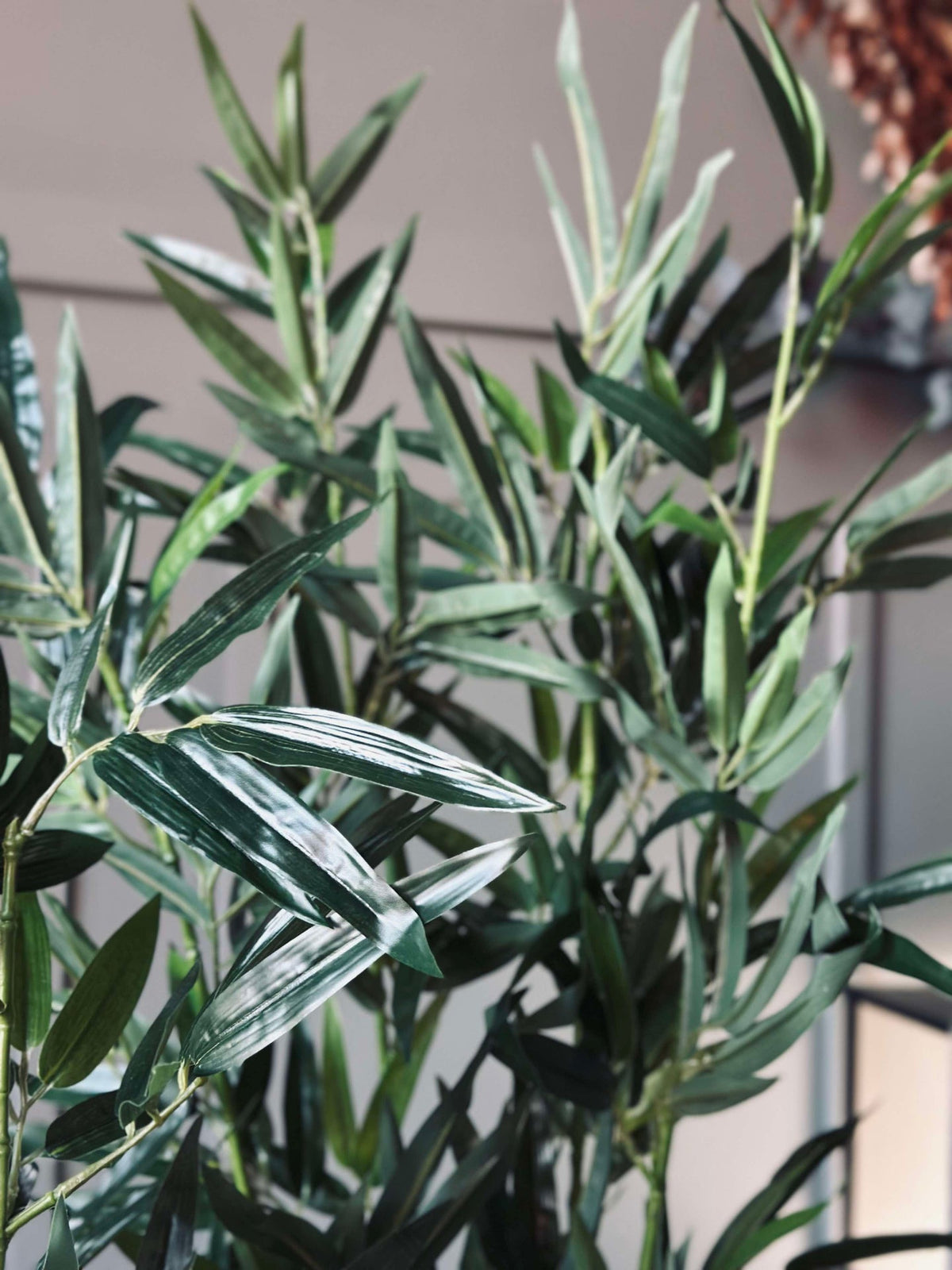 Bamboe in pot 110cm