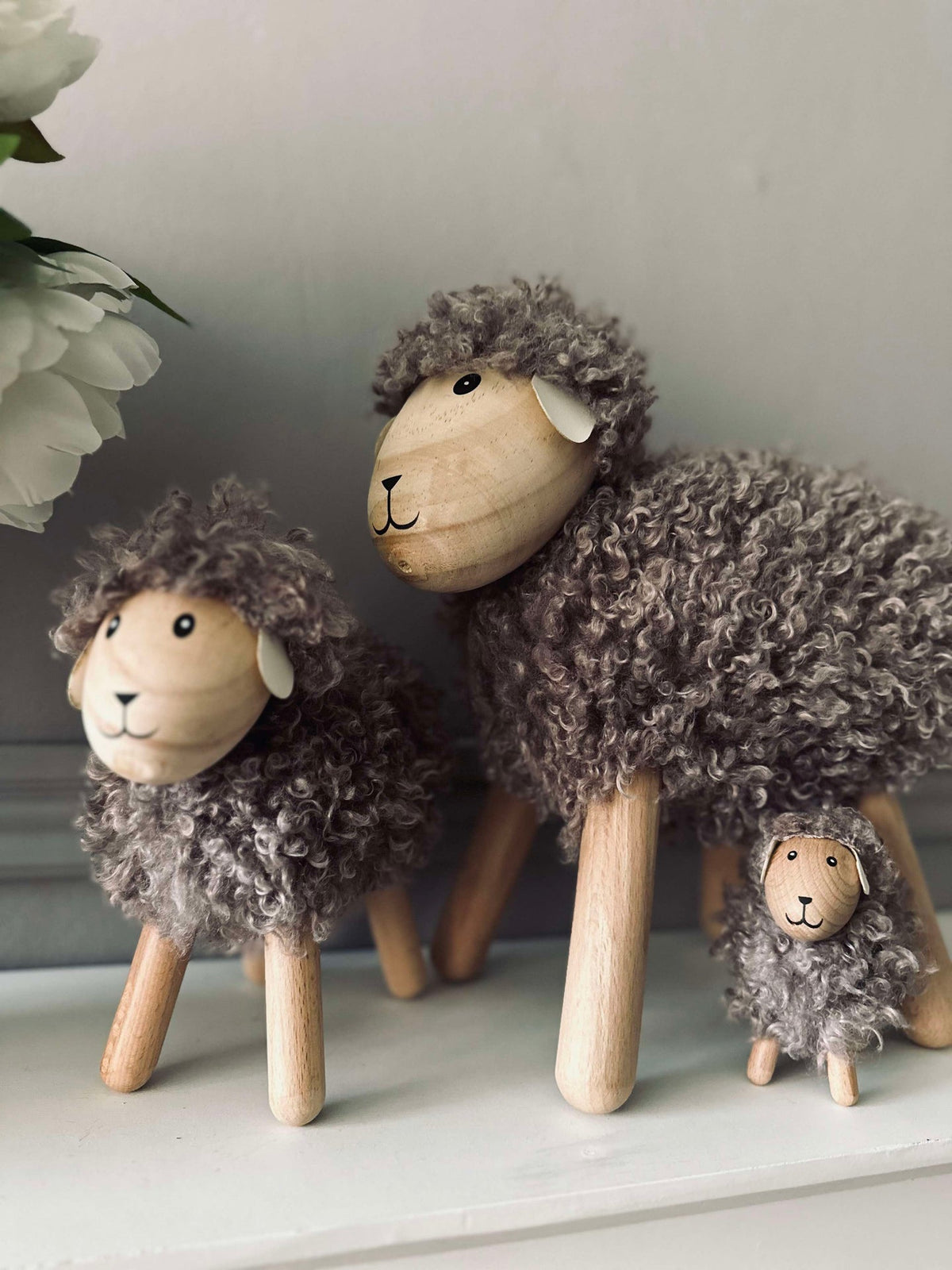 Schaap met langharige vacht - Grijs