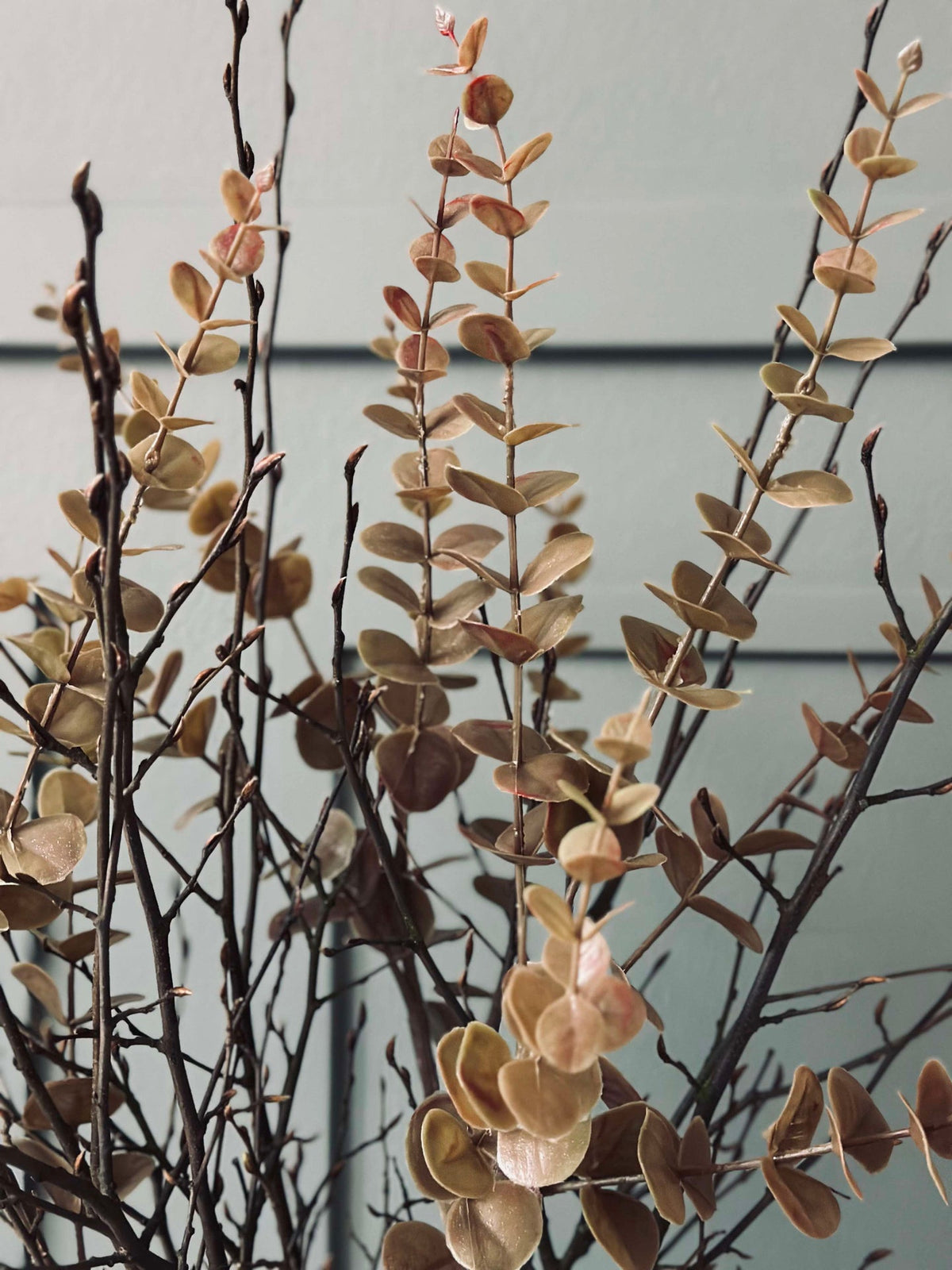 Bloemen eucalyptus - Goudkleurig