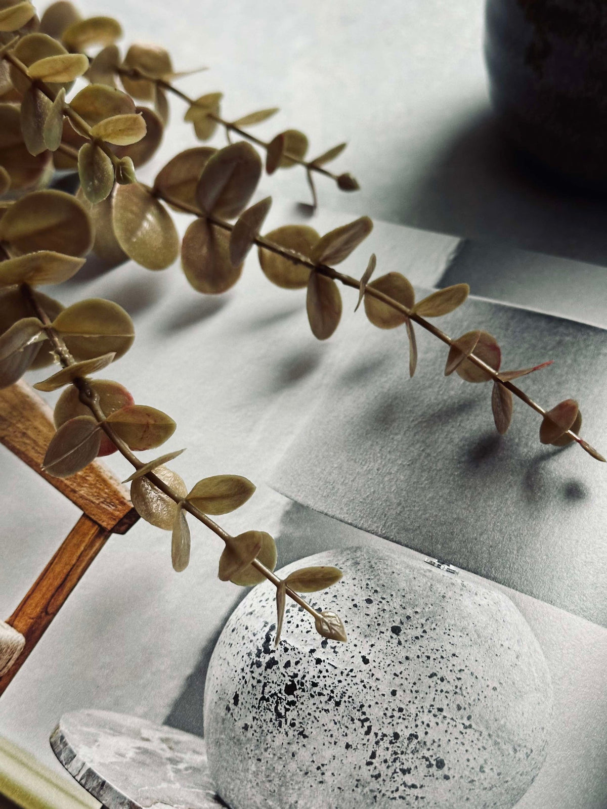 Bloemen eucalyptus - Goudkleurig