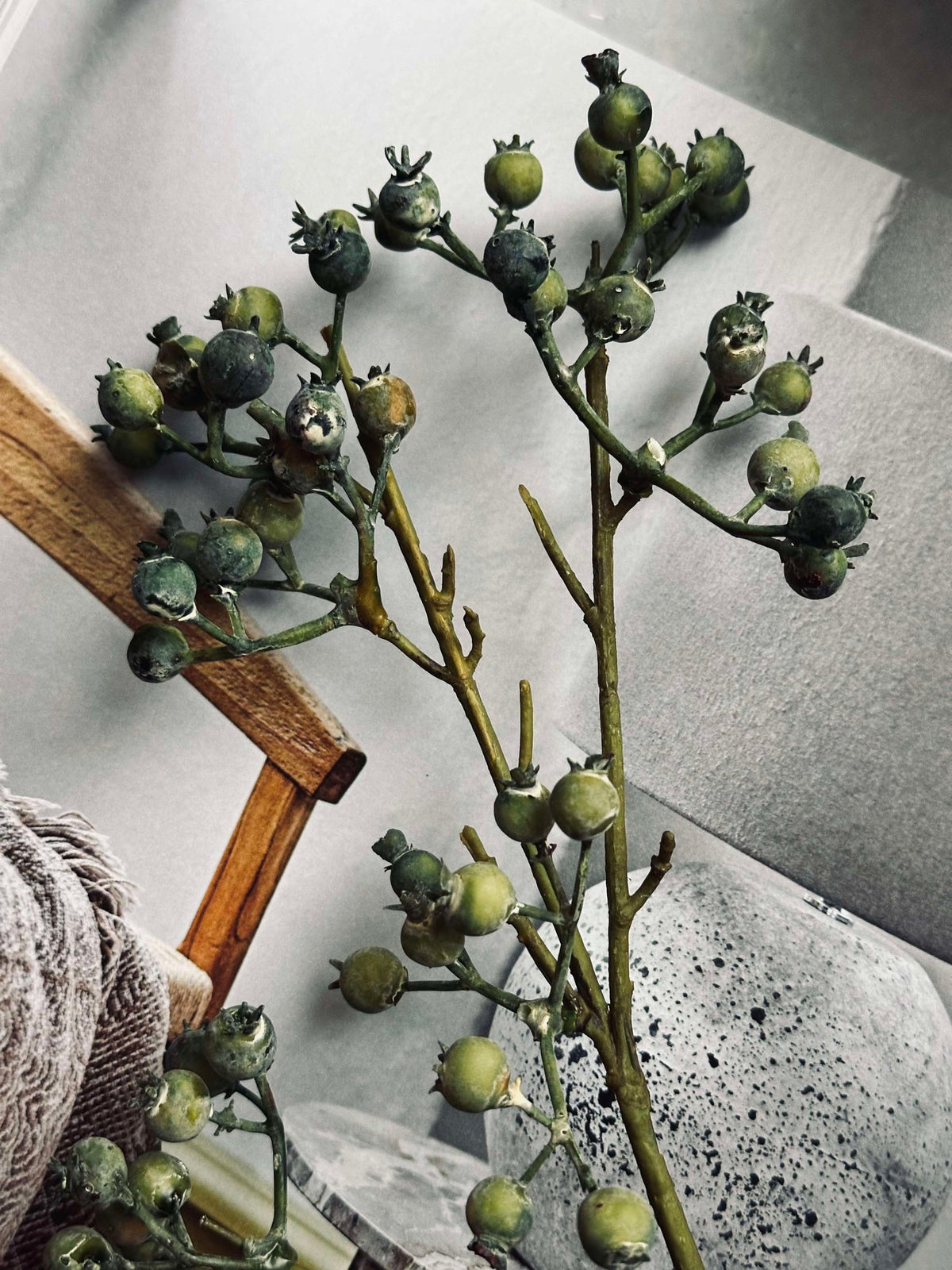 Bloem Mariebes