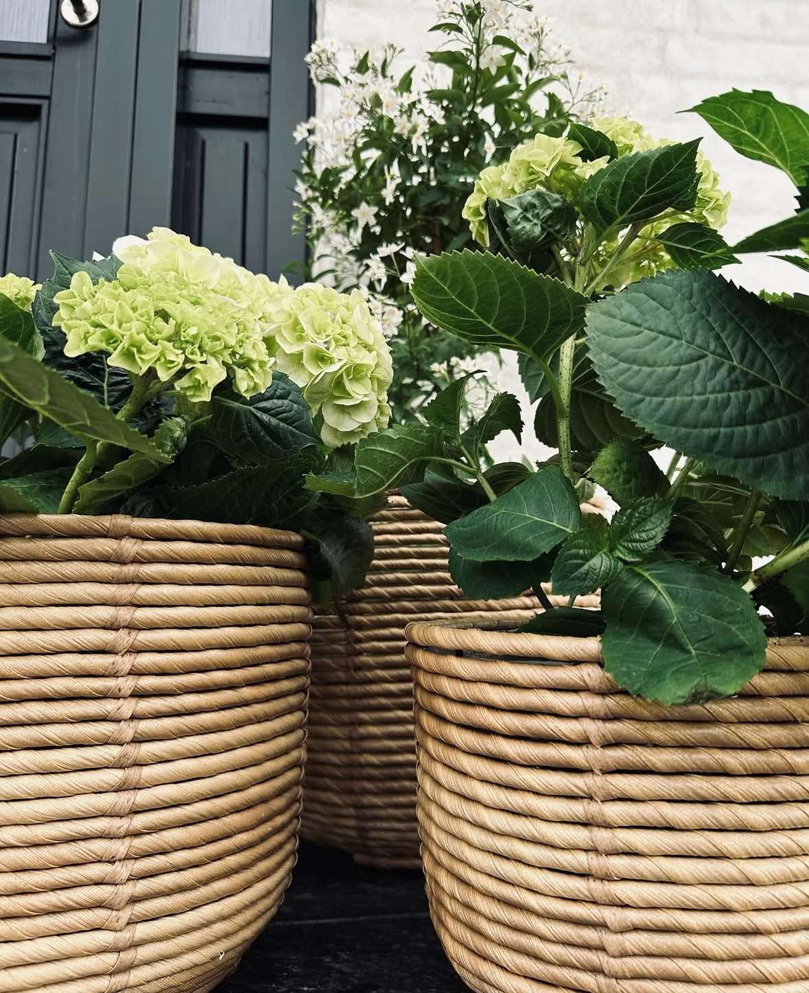 Plantenmanden RATTAN BIG - Set van 3 maten
