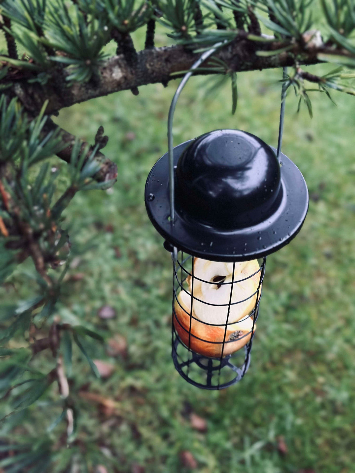 Ophang voor vogelvoer voor maïskolven