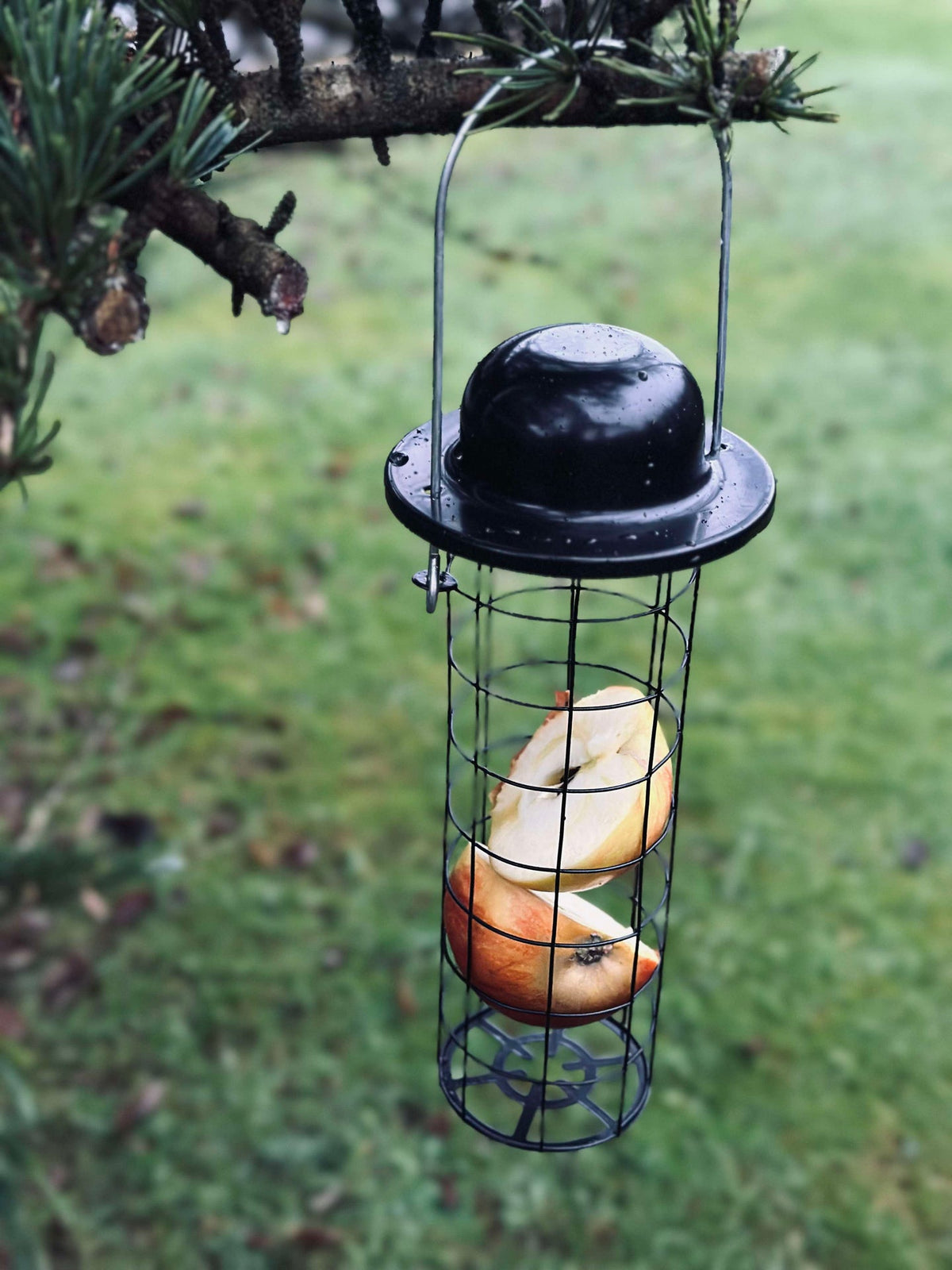 Ophang voor vogelvoer voor maïskolven