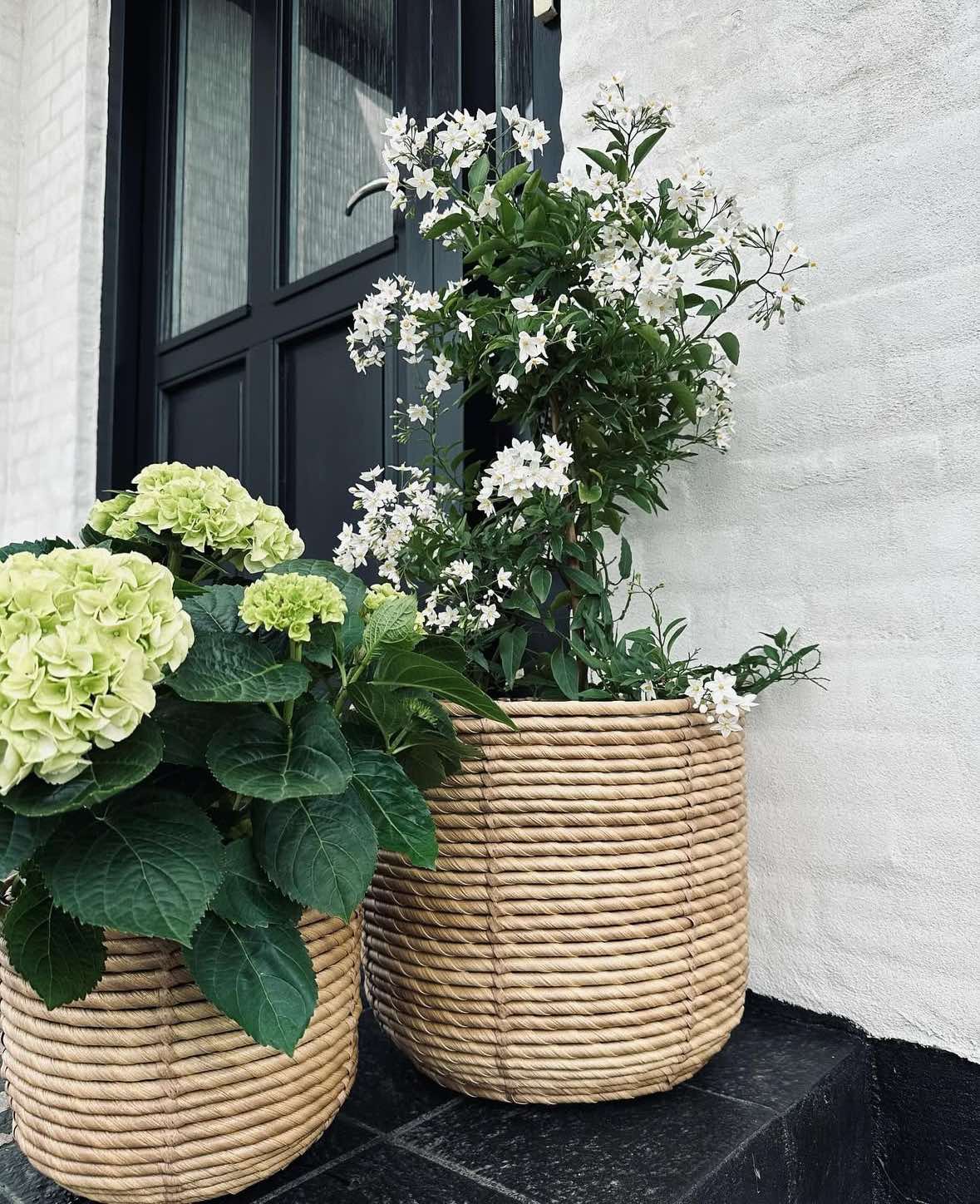 Plantenmanden RATTAN BIG - Set van 3 maten