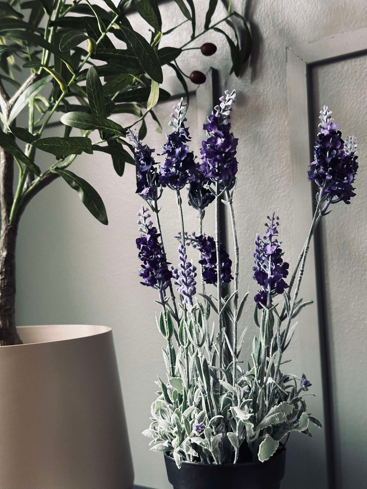 Lavendel 40cm - Donker Paars
