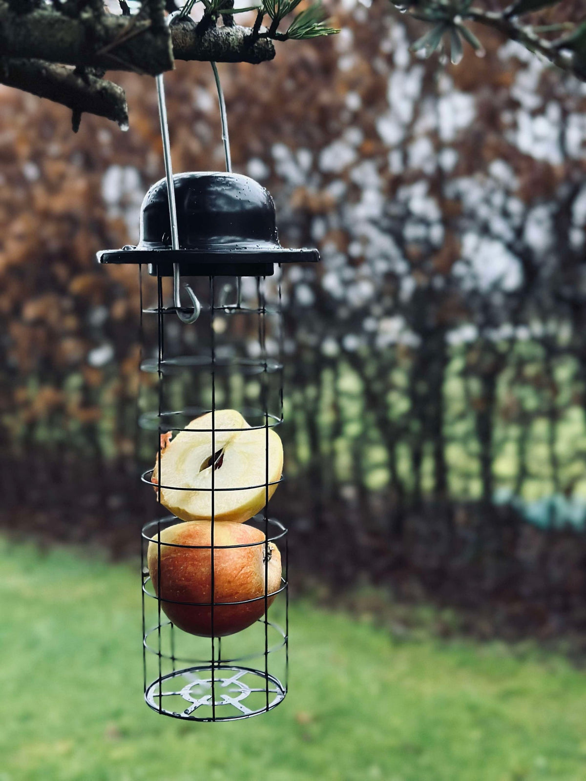 Ophang voor vogelvoer voor maïskolven