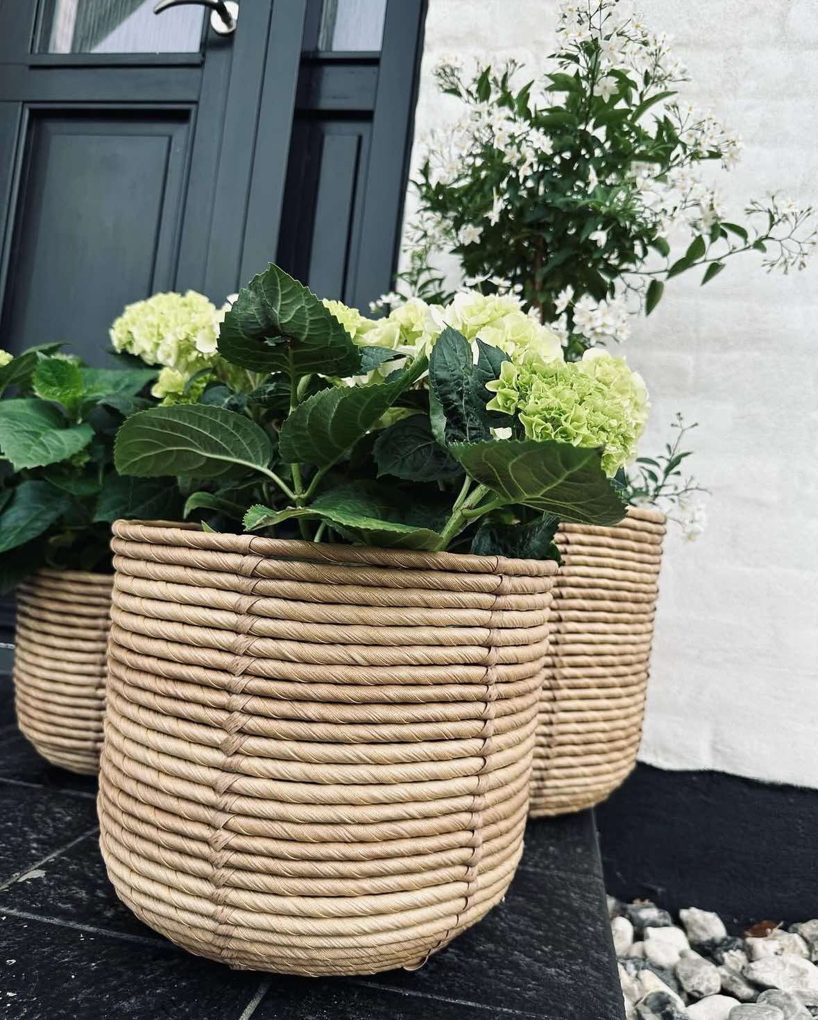Plantenmanden RATTAN – Set van 3 formaten