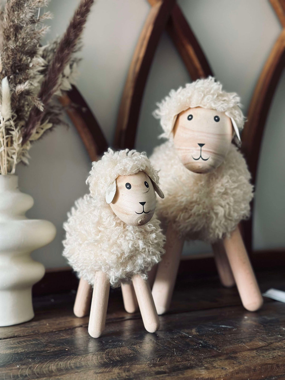 Schaap met langharige vacht - Naturel
