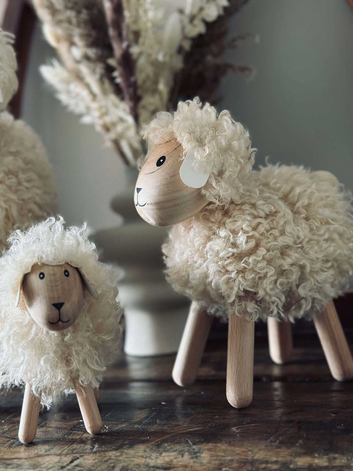 Schaap met langharige vacht - Naturel